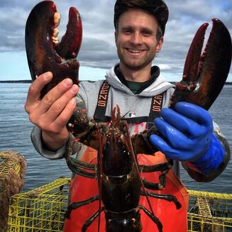 cooper-lobster cooper-lobster